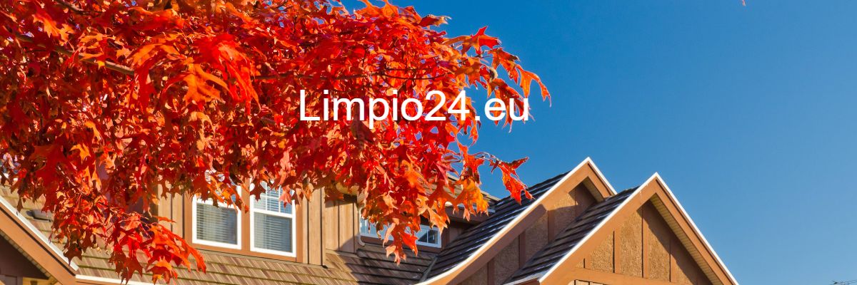 limpio24.eu